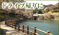 ドライブ帰りに