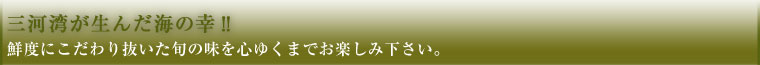 三河湾の海の幸