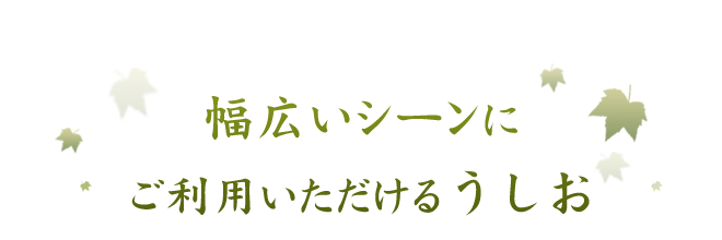 幅広いシーンに