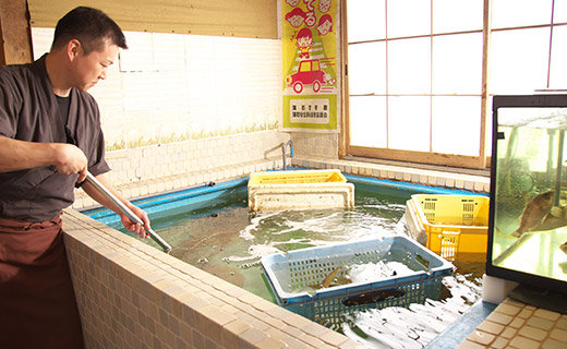 うなぎの水槽